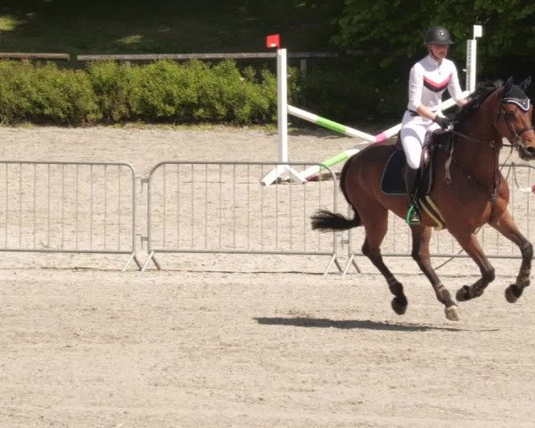 Reitturnier Tübingen 2022