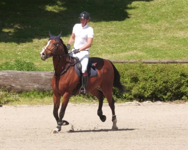 Reitturnier Tübingen 2022