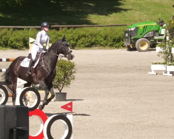 Reitturnier Tübingen 2022