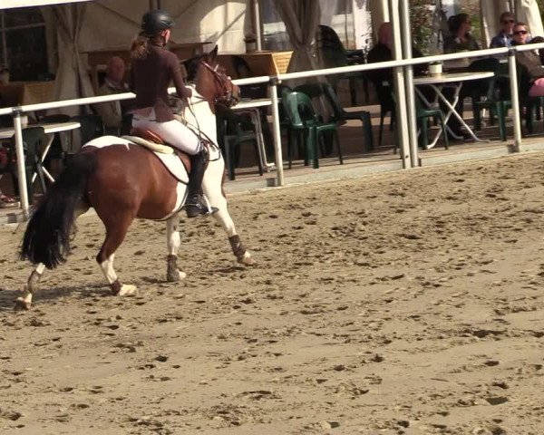 Reitturnier Ostenfelde-Vornholz 2022