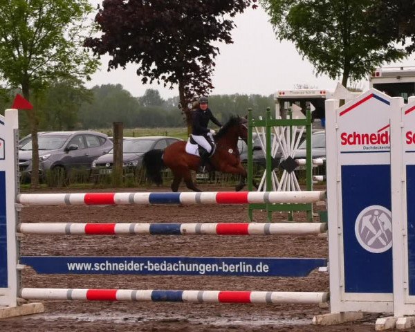 Reitturnier Lentzke - Reitanlage Krehl 2022