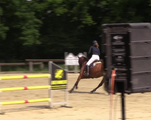 Reitturnier Rhede 2022