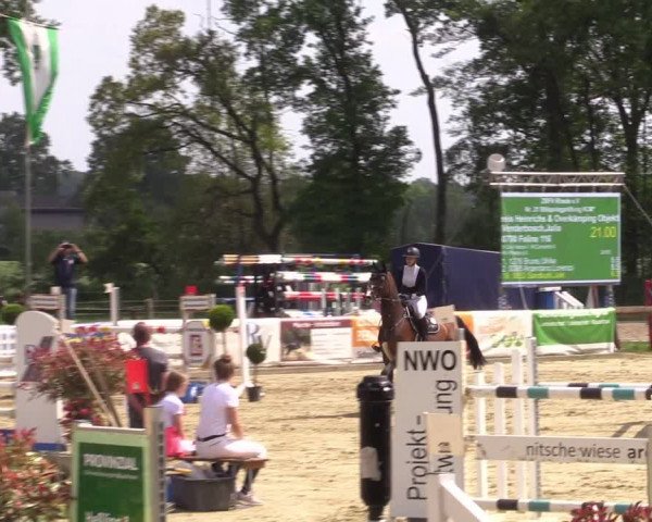Reitturnier Rhede 2022