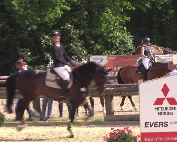 Reitturnier Rhede 2022