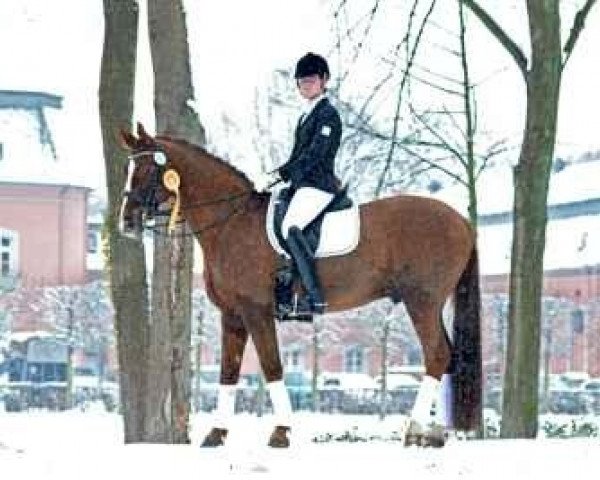 dressage horse Alesi (Oldenburg, 1995, from Andiamo)