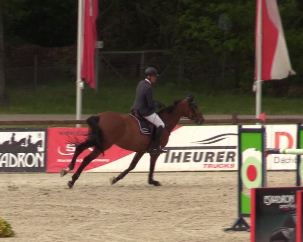 Reitturnier Westergellersen 2022