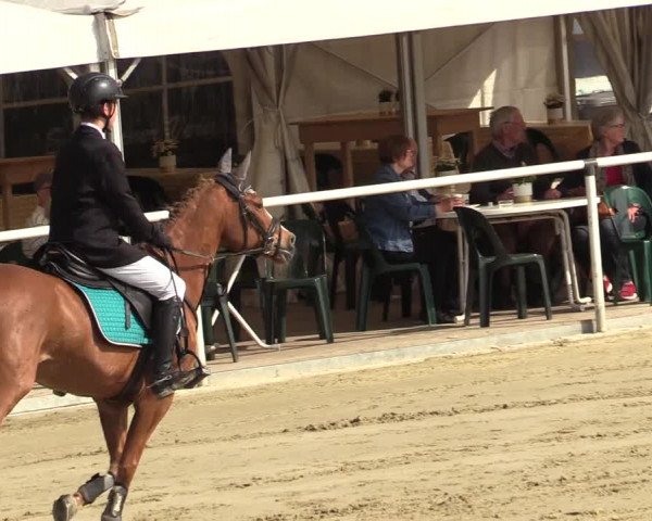 Reitturnier Ostenfelde-Vornholz 2022