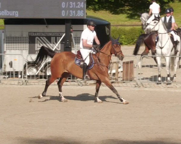 Reitturnier Tübingen 2022