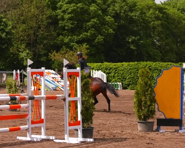 Reitturnier Lentzke - Reitanlage Krehl 2022
