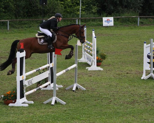 jumper Leo 496 (Bavarian, 2005, from Lordanos)
