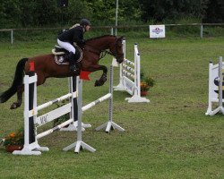 jumper Leo 496 (Bavarian, 2005, from Lordanos)