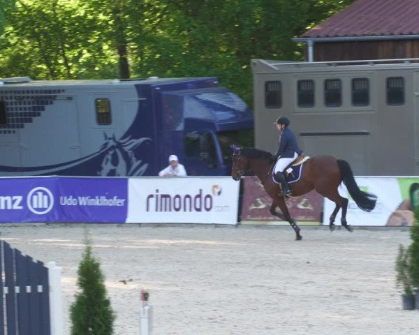 Reitturnier Karlsfeld/Obb. 2022