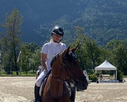 broodmare Tui Fly (Oldenburg, 2015, from Toulon)