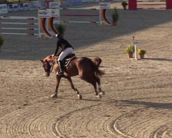 Reitturnier Westergellersen 2022