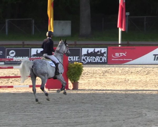 Reitturnier Westergellersen 2022