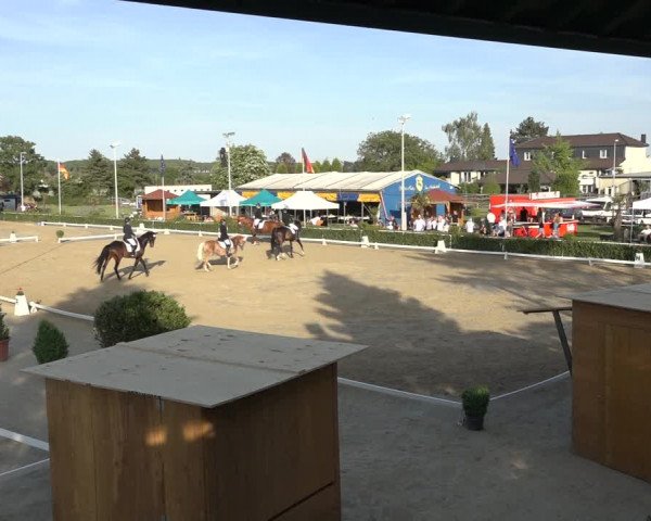 Reitturnier Bornheim-Widdig 2022