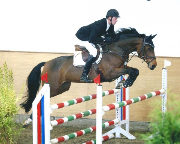 broodmare Tamina 105 (Holsteiner, 2003, from Quebec)