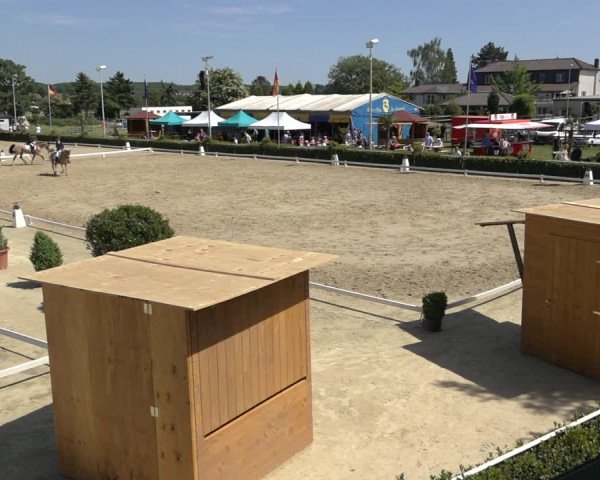 Reitturnier Bornheim-Widdig 2022
