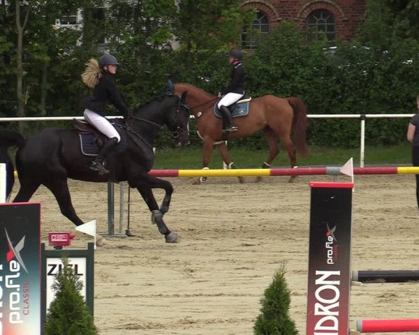 Reitturnier Ostenfelde-Vornholz 2022