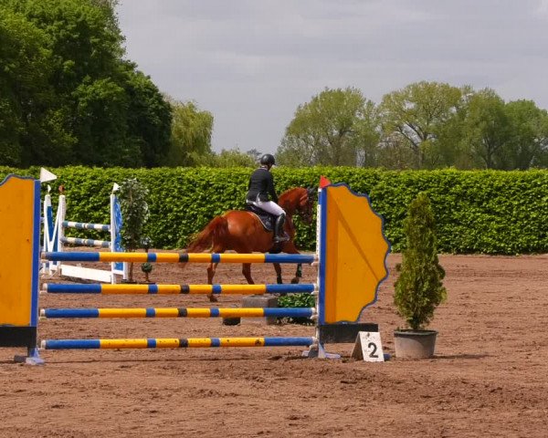 Reitturnier Lentzke - Reitanlage Krehl 2022