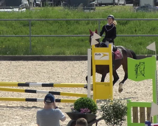 Reitturnier Werdenberg 2022