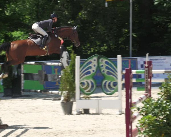 Reitturnier Karlsfeld/Obb. 2022