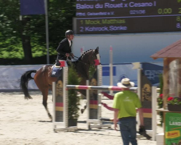 Reitturnier Karlsfeld/Obb. 2022