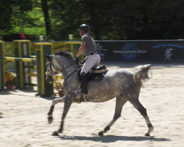 Reitturnier Karlsfeld/Obb. 2022
