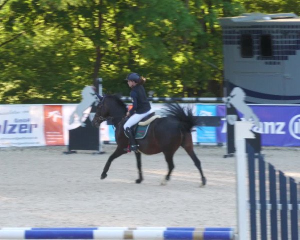 Reitturnier Karlsfeld/Obb. 2022