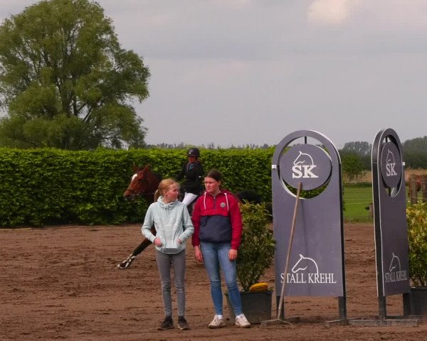 Reitturnier Lentzke - Reitanlage Krehl 2022