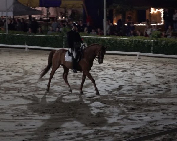 Reitturnier Bornheim-Widdig 2022