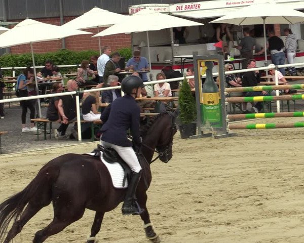 Reitturnier Ostenfelde-Vornholz 2022