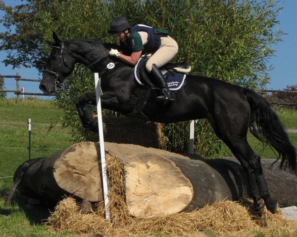 dressage horse Everybodys Darling AA (Anglo-Arabs, 1999, from Emetyt AA)