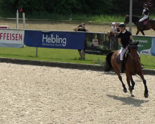 Reitturnier Werdenberg 2022