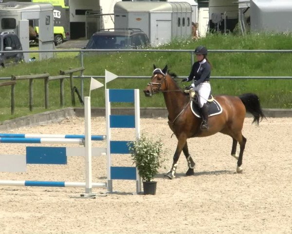 Reitturnier Werdenberg 2022