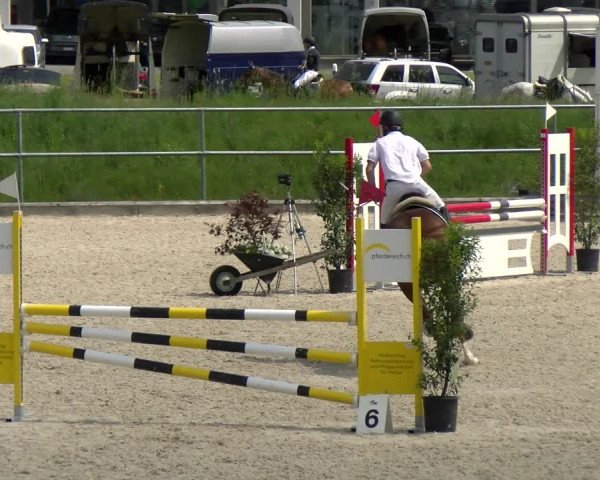 Reitturnier Werdenberg 2022