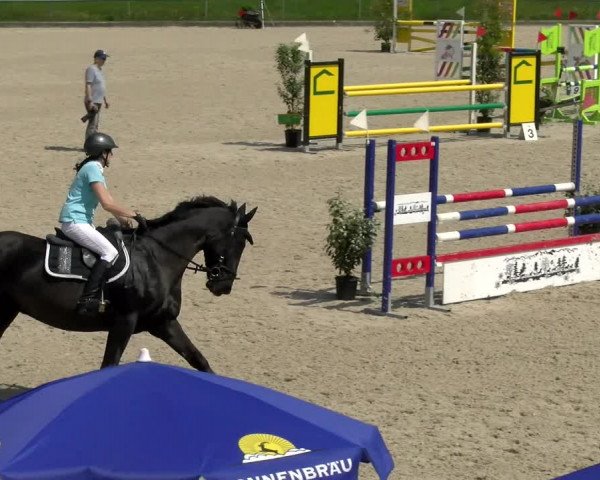 Reitturnier Werdenberg 2022