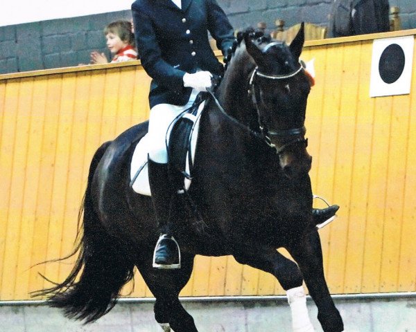 Dressurpferd Lord Lancaster 7 (Westfale, 2002, von Laomedon)