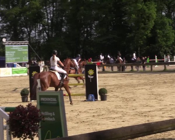 Reitturnier Rhede 2022