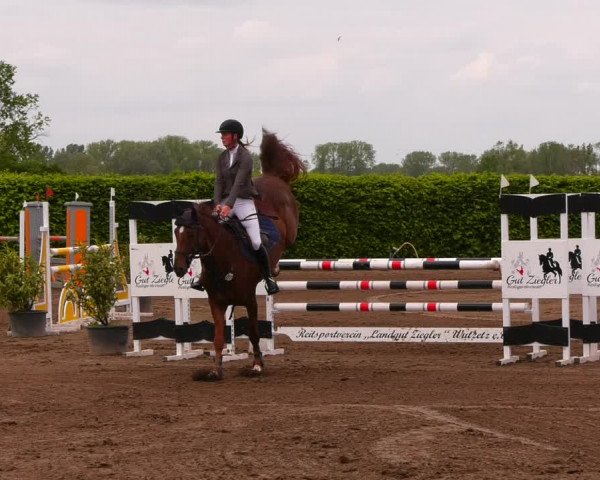 Reitturnier Lentzke - Reitanlage Krehl 2022