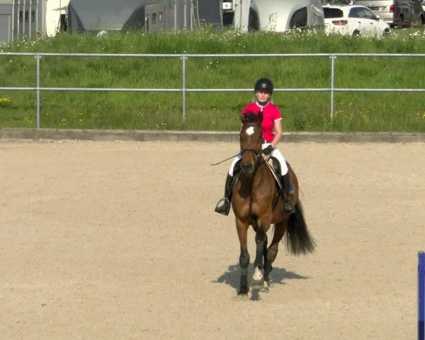 Reitturnier Werdenberg 2022