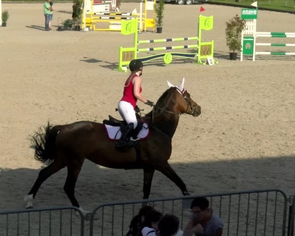 Reitturnier Werdenberg 2022