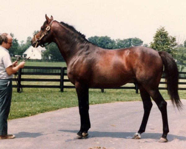 Deckhengst Far North xx (Englisches Vollblut, 1973, von Northern Dancer xx)