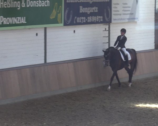 Reitturnier Rhede 2022