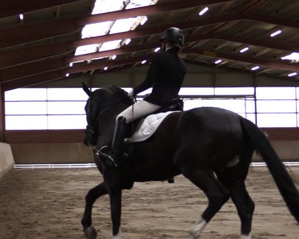 Reitturnier Ostenfelde-Vornholz 2022