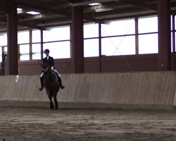 Reitturnier Ostenfelde-Vornholz 2022