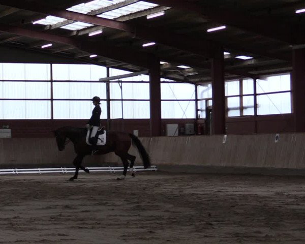 Reitturnier Ostenfelde-Vornholz 2022