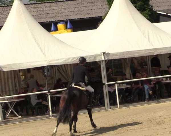 Reitturnier Ostenfelde-Vornholz 2022