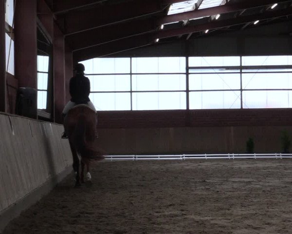 Reitturnier Ostenfelde-Vornholz 2022
