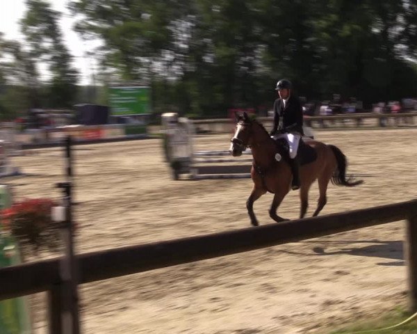 Reitturnier Rhede 2022